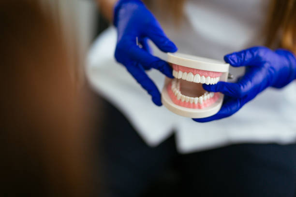 Ashtabula, OH Holistic Dental Care Services Company